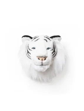 Albert the white tiger